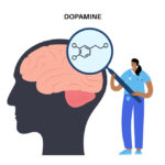 A Look at the Role of Dopamine and Its Effects